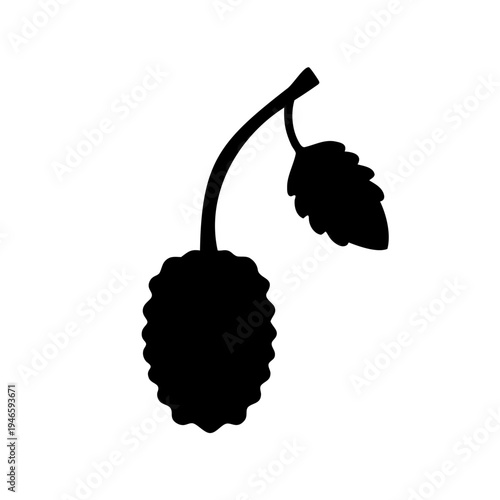 Silhouette illustration of a mulberry fruit with leaves on white background