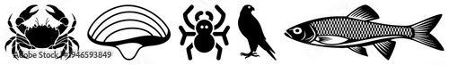 Crab, scallop, spider,, fish stylized animal, minimalist vector, graphic design elements, isolated foreground.