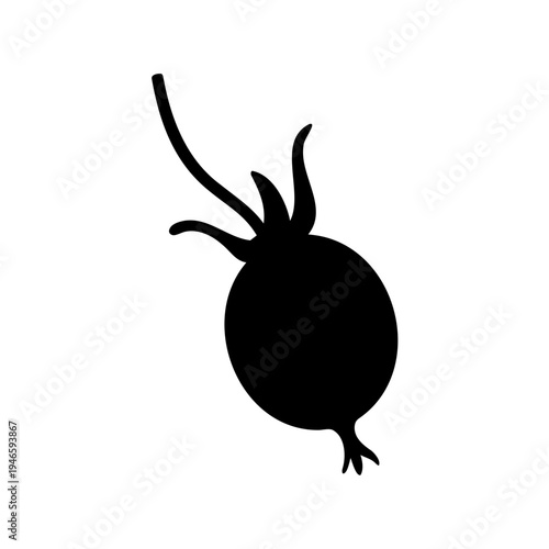 Silhouette illustration of a rosehip berry or other similar fruit plant