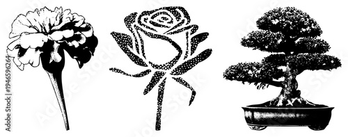 Black/white vector motifs carnation, rose, bonsai with halftone, for design, print, or tattoo. Botanical cutouts.