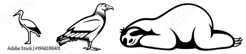 Three stylized animals stork, vulture, sloth rendered in clean black, isolated vector, wildlife silhouettes, minimalist animal design.
