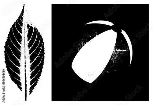 Black and white vector leaf with vein detail, abstract teardrop shape, stencil style graphic, isolated foreground elements, design.
