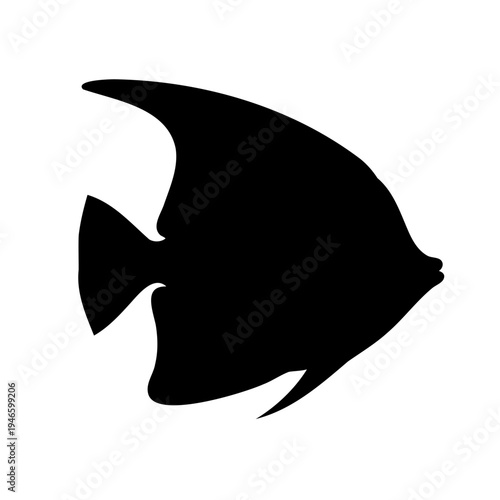 Simple black and white illustration of an angel fish aquatic creature