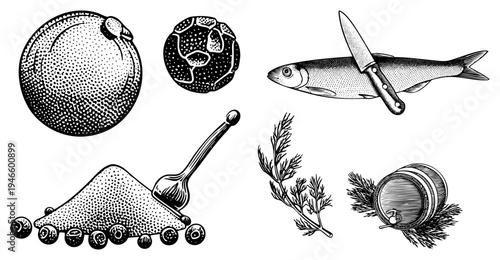 Classic halftone rendered food items including citrus, caviar, fish with knife, spice pile, dill, and barrel, ideal for recipe design or food packaging.