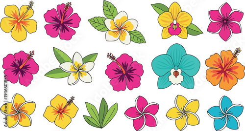 Colorful tropical flowers and leaves on white background hibiscus