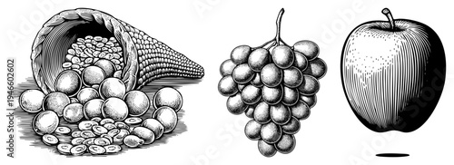 Classic black and white engraved fruit still life, cornucopia overflowing with beans, clustered grapes, and single, rustic food illustration.