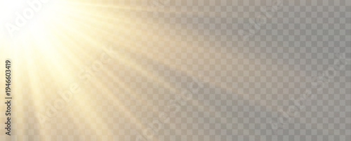 Overlay with radiant sunlight and glowing sunbeams, sparkling rays, optical flare, bright summer sky, shiny highlights, magical energy, transparent light, and warm atmosphere.