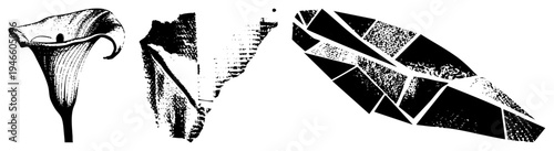 Vector art of calla lily, feather, and fragmented leaf in halftone and styles, isolated graphic elements with textured and bold.