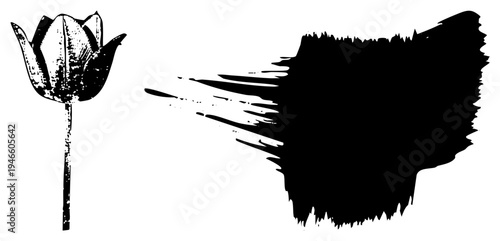 Black and white stylized tulip with textured grain, ink blot background, graphic illustration, vector art, isolated elements, artistic composition, design.