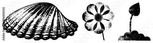 Black and white linocut illustrations of, flower, and sprout, textured woodcut style, isolated graphic elements for design, natural motifs, artistic printmaking.