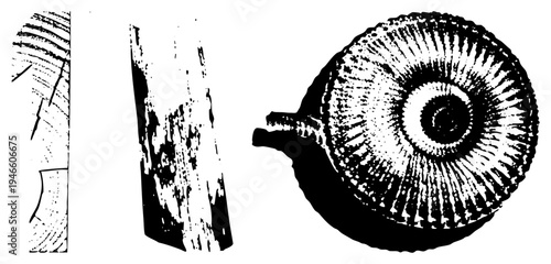 Prehistoric ammonite with concentric ridges, paired with weathered tree stumps showing grain and bark, rendered in high contrast halftone style.