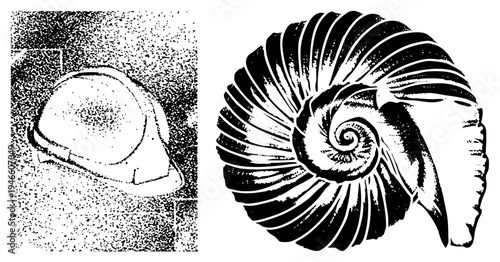 Nautilus spiral vector graphic, halftone texture hard hat, construction safety gear, stylized marine, black and white graphic design, isolated foreground elements.