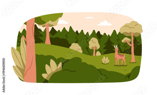 Forest nature landscape with deer standing on grass, among trees, woodland cl...