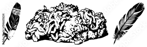 Geological rock formation with rugged texture, flanked by stylized feathers, black and white vector art, natural elements, symbolic design.