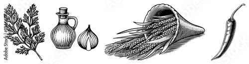 Classic engraved set of cooking ingredients parsley, olive oil bottle, garlic bulb, wheat sheaf, chili pepper. Culinary illustration, food art, rustic kitchen elements.