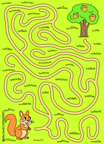 Squirrel maze graphic color sketch vertical illustration vector 