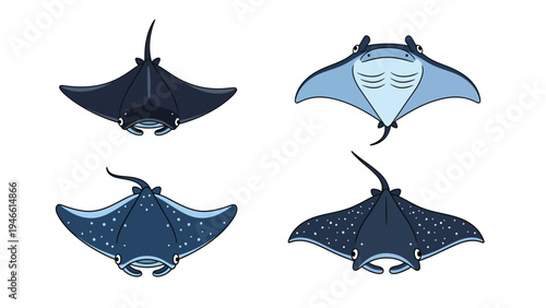 Cartoon Manta Rays Collection. Flat Design Ocean Life Vector Illustration Set. Aquatic Animals Isolated on White Background