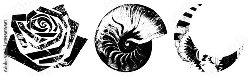 Artistic black and white vector rose with geometric petals, nautilus spiral, eagle head in, all rendered with halftone grain for retro effect.