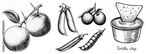 Hand drawn halftone illustrations of oranges, pea pods, and tortilla chip in bowl, rustic food art, vintage engraving style, black and white vector graphic.