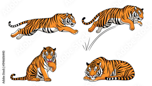 Cartoon Tiger Poses Set: Running, Jumping, Sitting, Resting - Wildlife Animal Vector Collection