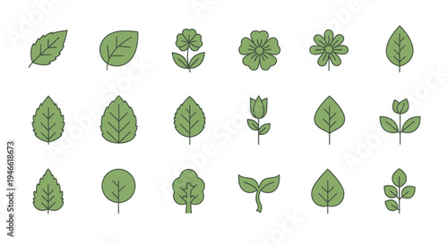 Various Green Leaves Illustration Set Collection.
