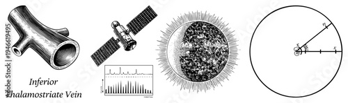 Medical vein structure, brain vasculature, anatomical illustration, neurovascular diagram, vascular system, cerebral anatomy, neurology reference.
