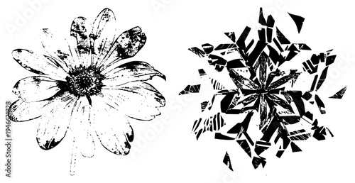Stylized flower with textured petals, shattered glass, halftone texture, graphic design element, vector illustration, artistic contrast, isolated foreground.