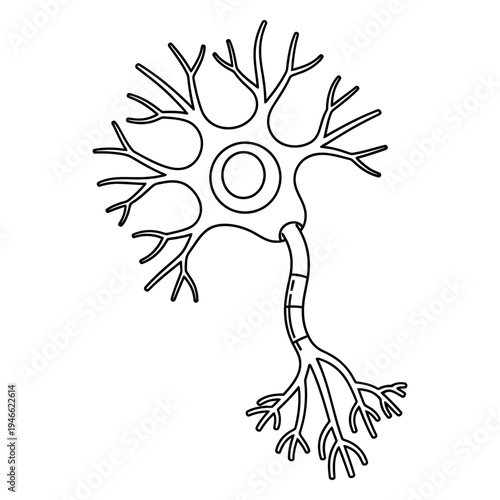 Black line of a neuron cell with dendrites and axon line black lines