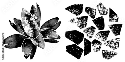 Black and white halftone bloom and scattered shapes, graphic design elements, vector art, textured, artistic composition.