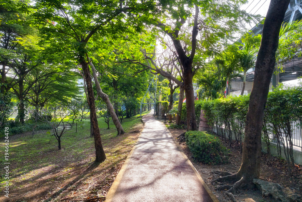 Fototapeta premium Jogging path surround by big tree at sunrise in park