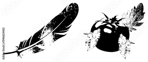 Stylized black and white feather and tomato rendered in gritty halftone, vector art, isolated design elements, artistic illustration, graphic motif.
