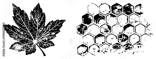 Stylized maple leaf with vein and honeycomb grid, distressed texture, black and white, graphic design elements, nature motifs, vector art.