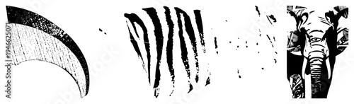 Bold black and white halftone zebra stripes and detailed elephant head, graphic design elements, wildlife motifs, vector illustration, isolated foreground.