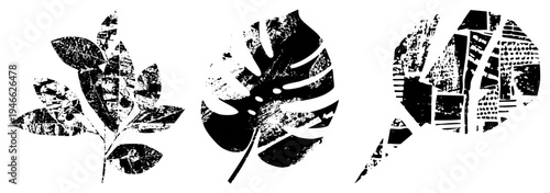 Graphic leaf motifs featuring fragmented textures, leaf design, botanical cutouts, abstract foliage, halftone style, vector art, isolated plant elements.