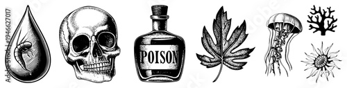 Classic danger depicting poison, death, and hazardous substances, engraved art, tattoo style motifs, vector illustrations for safety warnings or design elements.