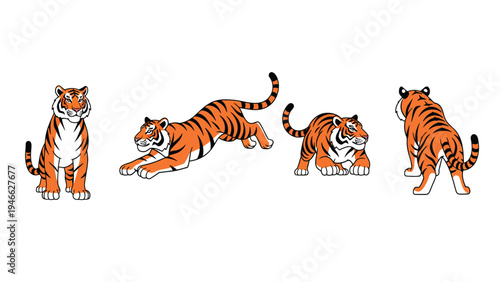 Cartoon Tiger Character Poses Set - Wildlife Big Cat Vector Illustration