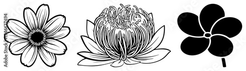 vector graphics featuring daisy, lotus, and clover shapes, minimalist art, decorative botanical symbols, isolated design elements.