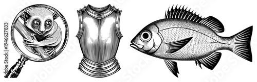 Detailed halftone drawings of a lemur under magnifying glass, medieval cuirass armor, and a fish with scales, all rendered in classic engraved style.