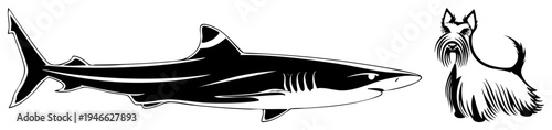 Stylized shark and Scottish terrier in stark black, graphic contrast, animal duo, vector illustration, bold, isolated.