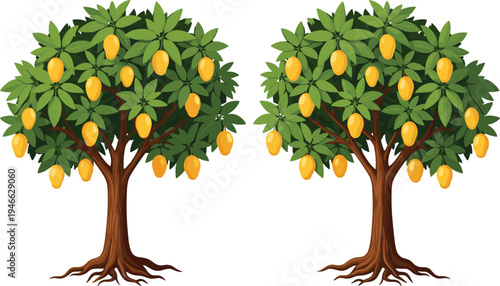Mango tree with ripe yellow fruits and green leaves, tropical garden fruit plant, organic nature agriculture, flat vector illustration isolated.