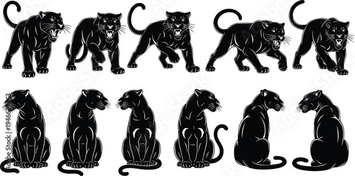 Set of black panther silhouettes in aggressive crawling and sitting poses, featuring roaring feline predators for mascot, logo, and tattoo design.