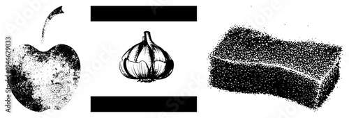 Halftone stylized with stem, garlic bulb with segmented cloves, sponge block texture, vector graphics, isolated food, print ready design elements.