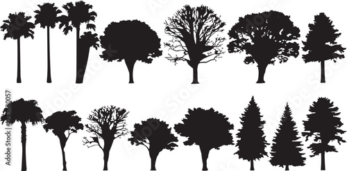 Where two rows of tree silhouettes are shown. In the first row, I count seven silhouettes, including four palm tree shapes - some single trunks and others grouped. Then there is a round broadleaf tree