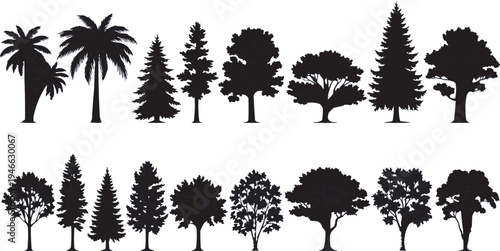 The first two silhouettes look like palm trees, the first one is a small coconut palm and the second one has three trunks. For the third one, I'm considering it could be a cedar or spruce - it has 