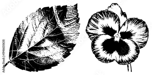 Botanical vector art of leaf with veins and pansy bloom, halftone texture, isolated botanical elements, nature clipart, botanical design.