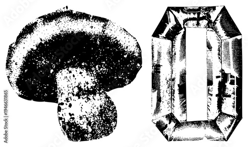 Black and white halftone mushroom and emerald cut gemstone, engraved textures, vintage graphic style, isolated foreground elements, gemology and mycology symbols.