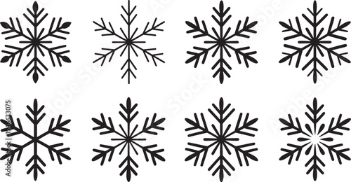 Various snowflakes on a white background winter cold weather