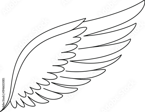 Minimalist line drawing of a single feathered wing in mid extension