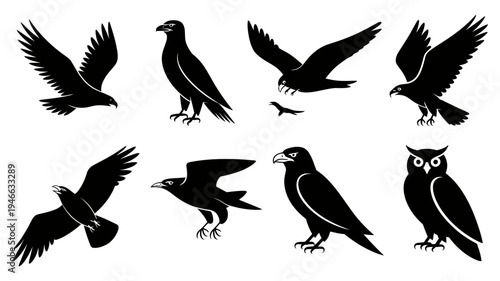A comprehensive set of solid black vector icons showcasing various raptors like eagles, a hawk, and an owl in dynamic poses.