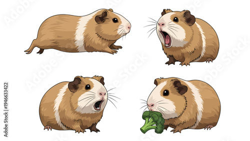 Adorable Guinea Pig Vector Illustrations Set with Various Poses, Expressions, and Eating Broccoli. Cute Pet Rodent Collection